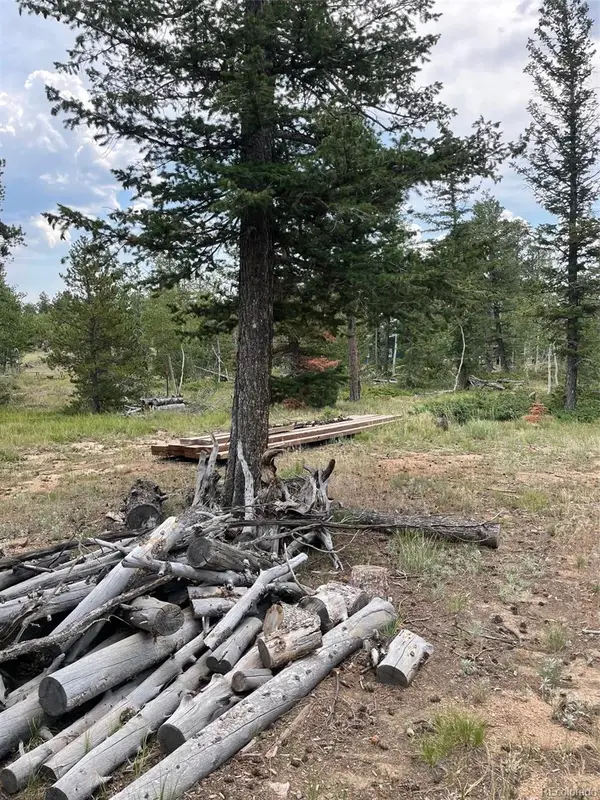 247 Sutiki Drive, Red Feather Lakes, CO 80545