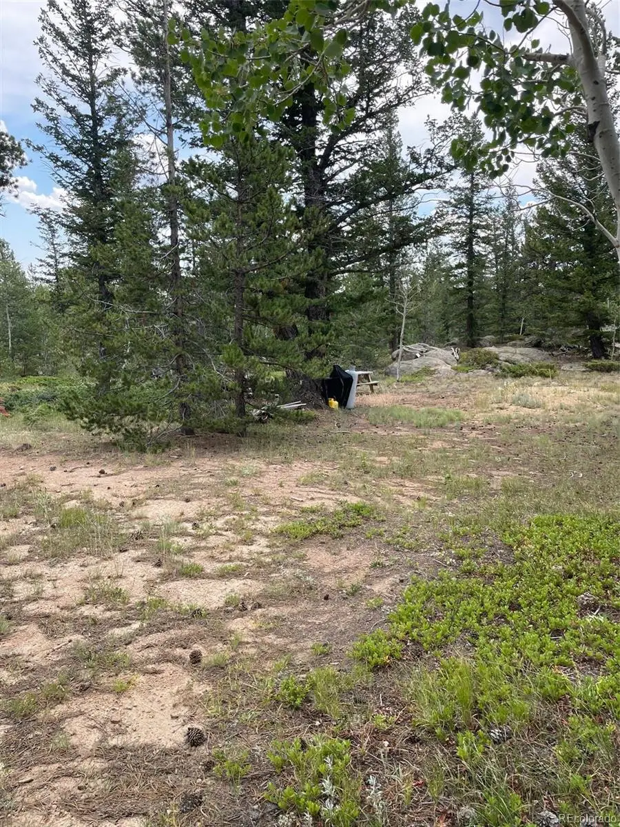 247 Sutiki Drive, Red Feather Lakes, CO 80545 - Image #2