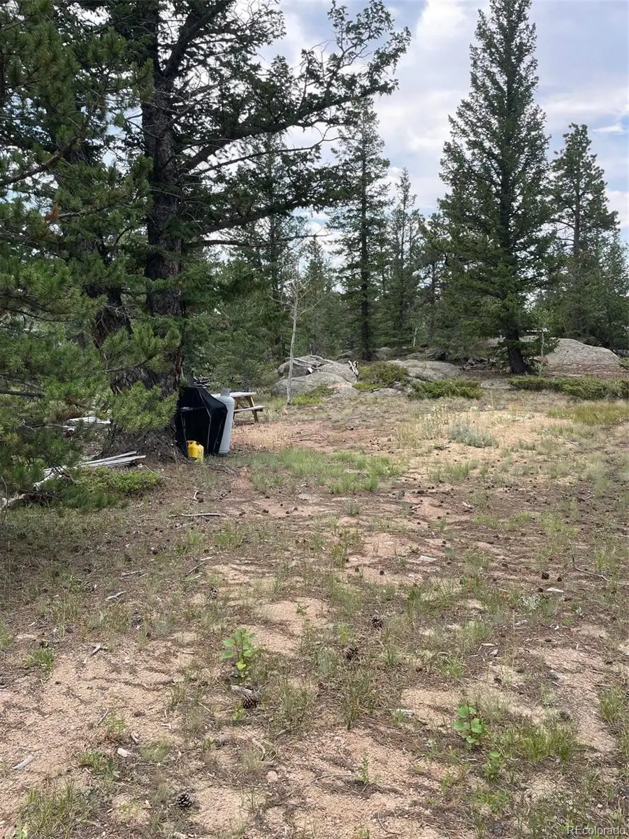 247 Sutiki Drive, Red Feather Lakes, CO 80545 - Image #3