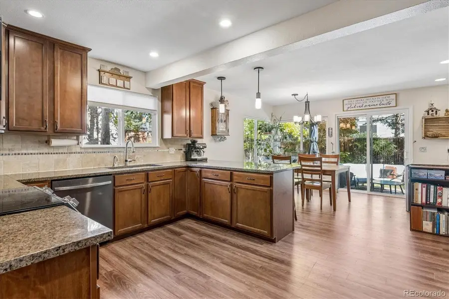 1384 Shadow Mountain, Highlands Ranch, CO 80126 - #3