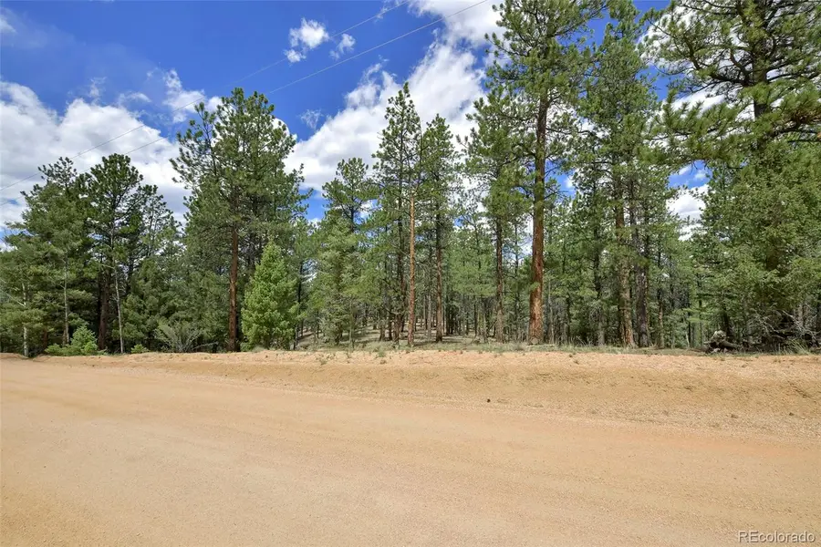 293 Badger Trail, Florissant, CO 80816 - #2