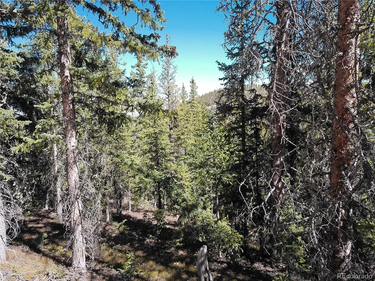 Forbes, Fort Garland, CO 81133 - #1