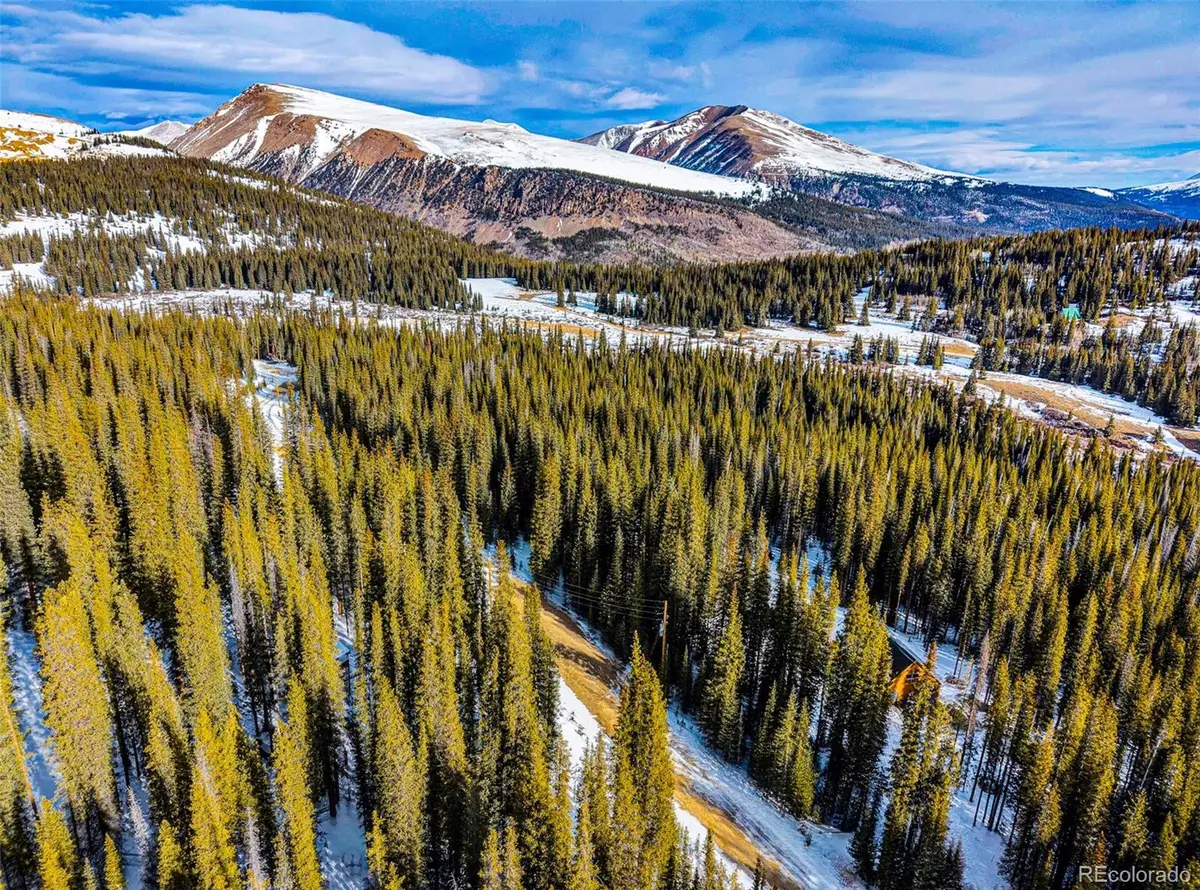 345 Bum Drive, Fairplay, CO 80440 - #1