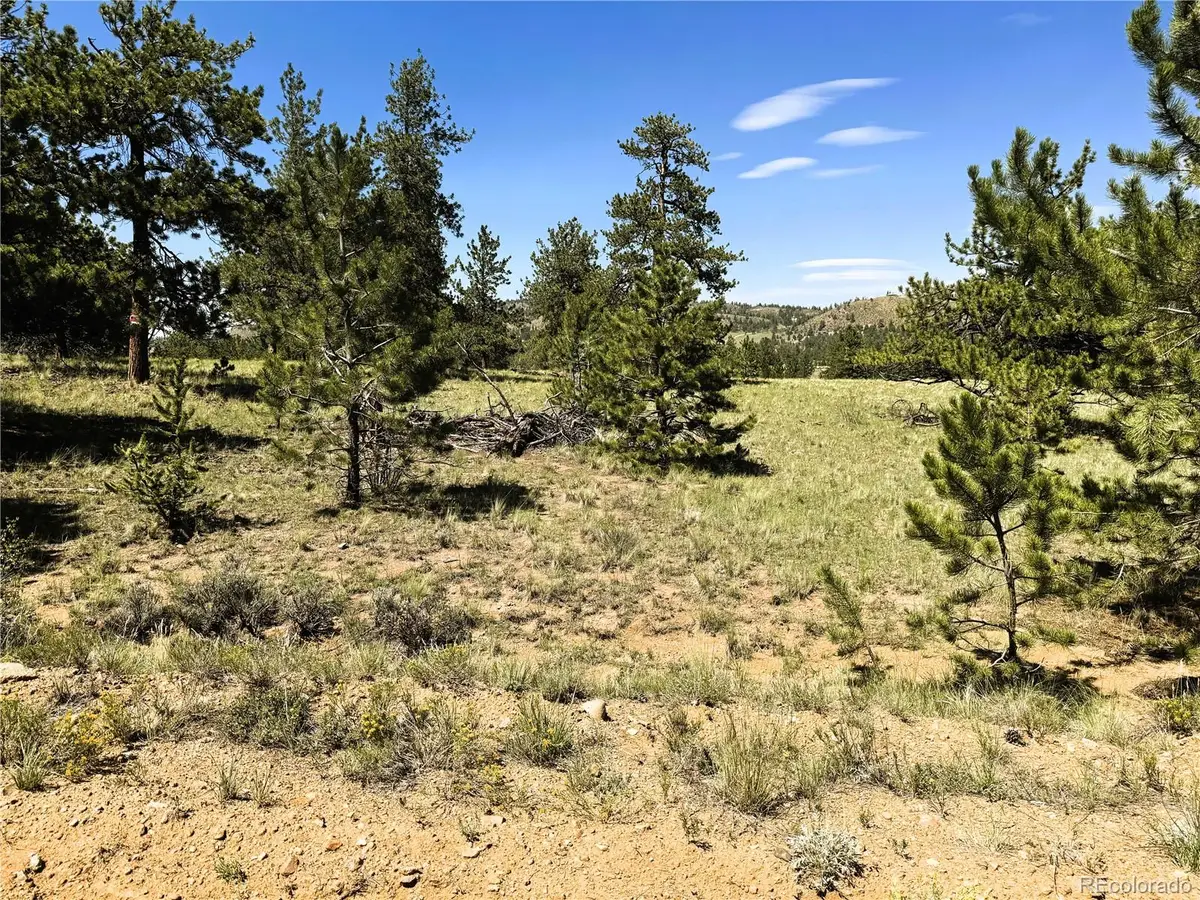 127 Boulder Road, Hartsel, CO 80449 - #1
