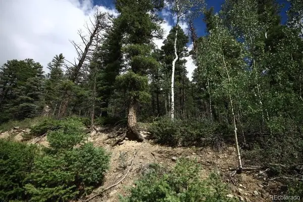 LOT 6078 Vreeland Road, San Luis, CO 81152
