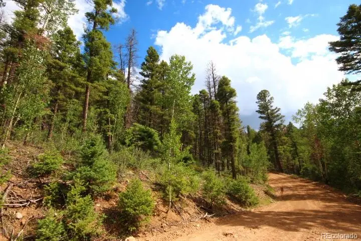 LOT 6078 Vreeland Road, San Luis, CO 81152 - #2