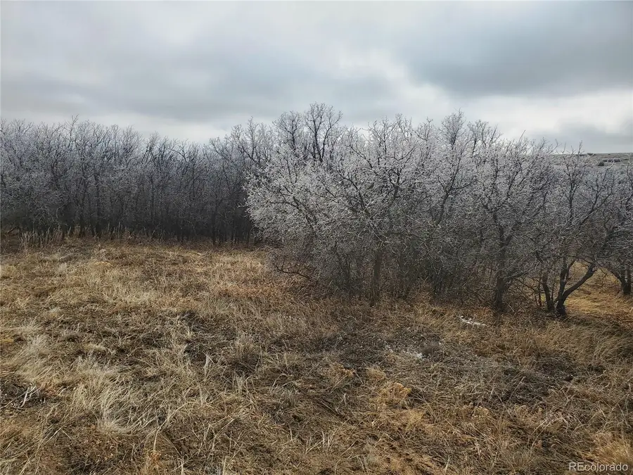 000 Thacker Road, Colorado City, CO 81069 - Image #3