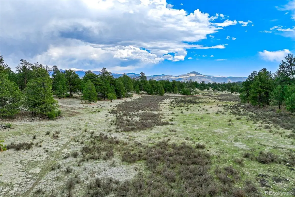 Tract 103 Doe Valley Road, Guffey, CO 80820 - #1