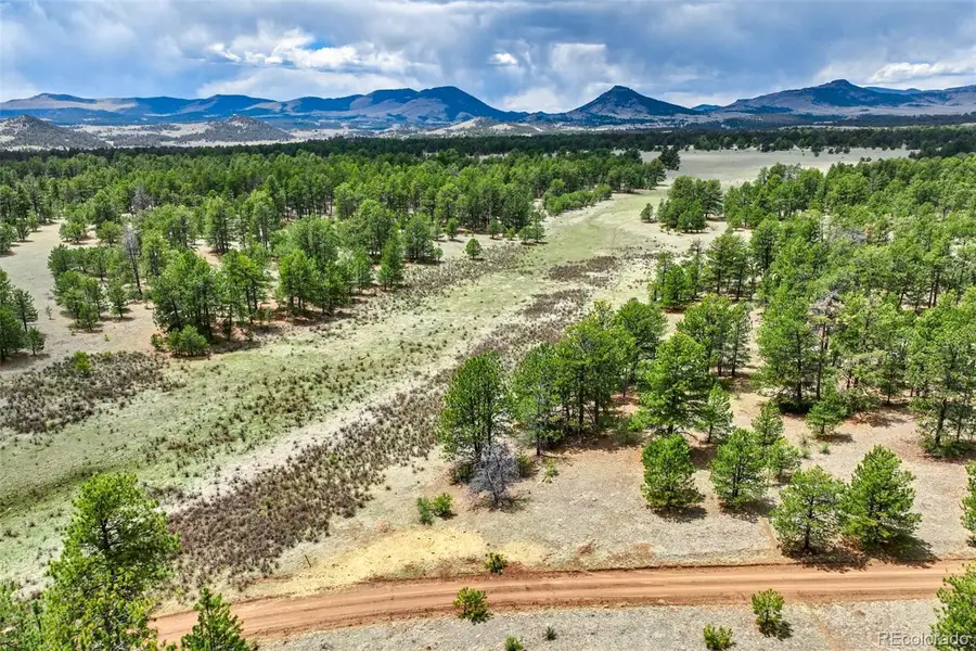 Tract 103 Doe Valley Road, Guffey, CO 80820 - #2