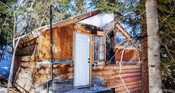 944 Roberts Road, Alma, CO 80420