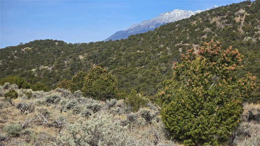 Lot 4536 Sarnoff Road, Fort Garland, CO 81133 - #2