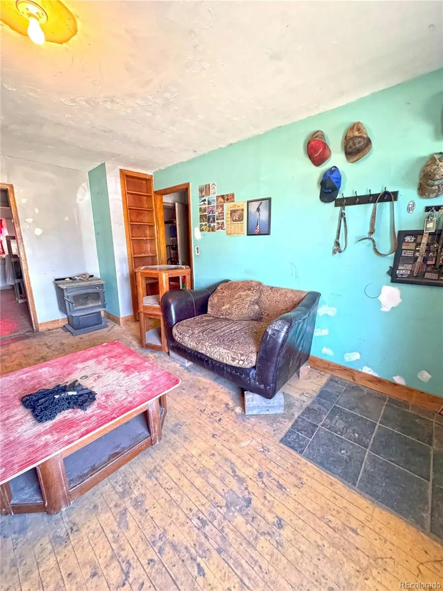209 Antrodemus Alley, Dinosaur, CO 81610 - #2