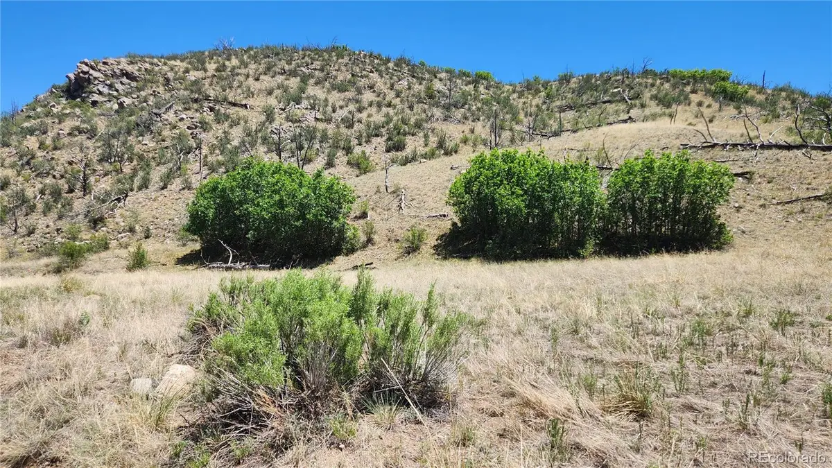TBD L 35th Trail, Cotopaxi, CO 81223 - #1