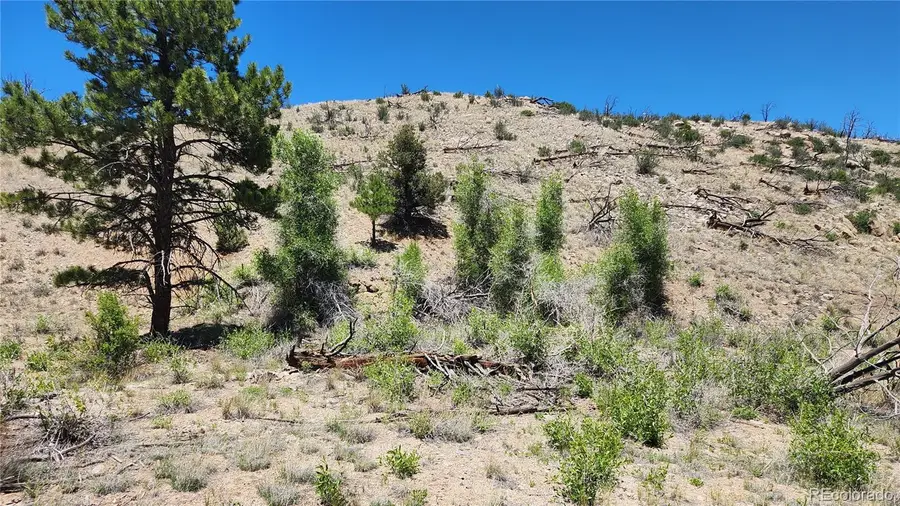 TBD L 35th Trail, Cotopaxi, CO 81223 - #3