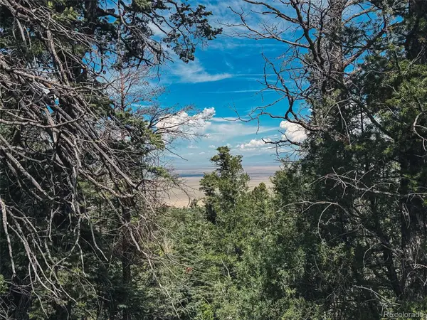 401 Lake Of The Falls Parkway, Mosca, CO 81146
