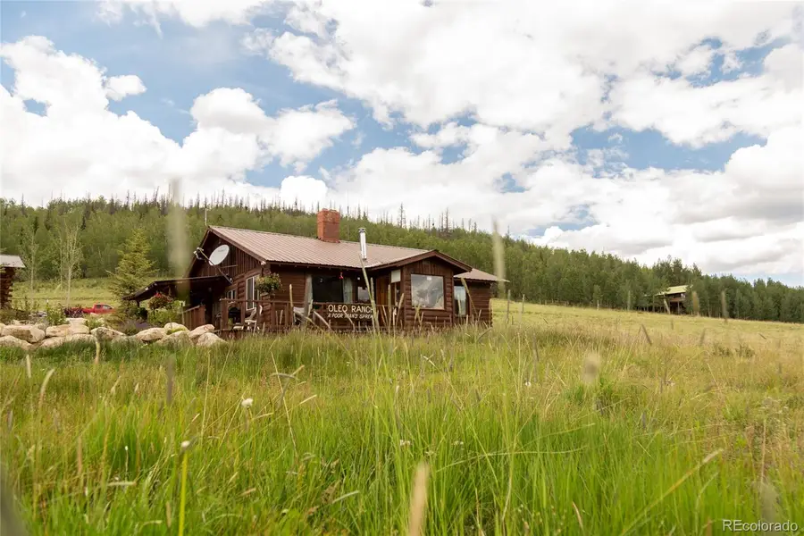 1001 Cr 17 Gunnison Cabin, Lake City, CO 81235 - #3