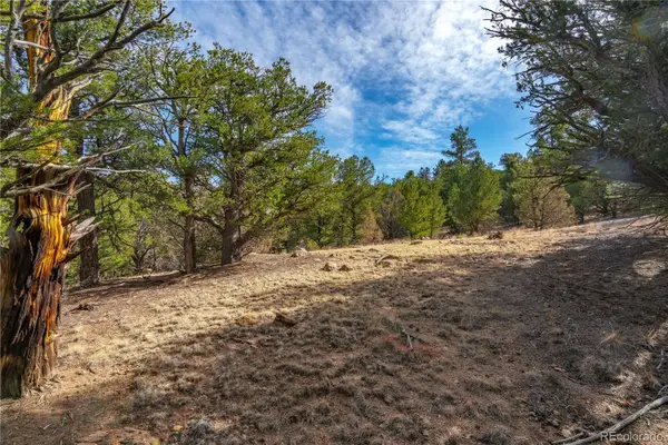 Lot 10 Prairie Dog Road, Cotopaxi, CO 81223