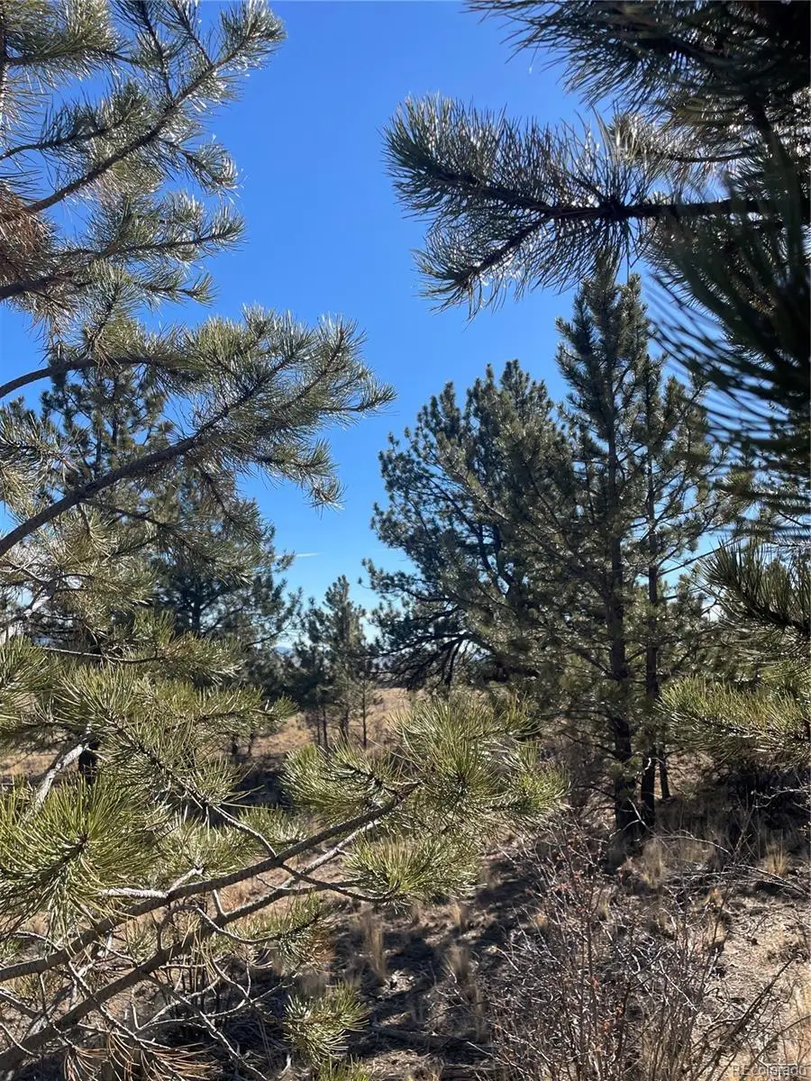 00 Oak Street, Hartsel, CO 80449 - Image #2