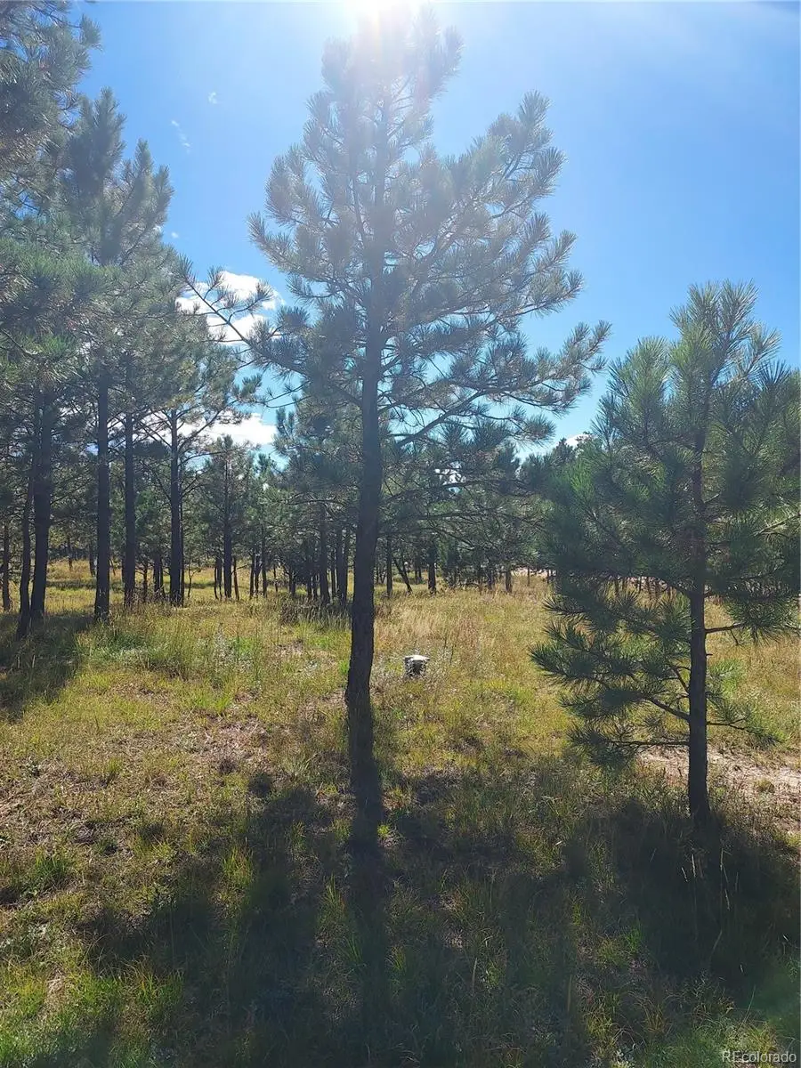 13395 Frank Road, Colorado Springs, CO 80908 - Image #3