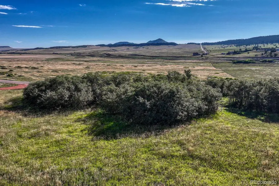 15989 S Perry Park Road, Larkspur, CO 80118 - Image #2
