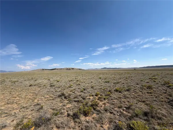 294 Hinsdale Road, Hartsel, CO 80449