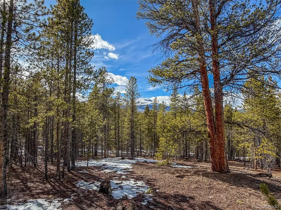 483 Mt Massive Road, Twin Lakes, CO 81251 - #2