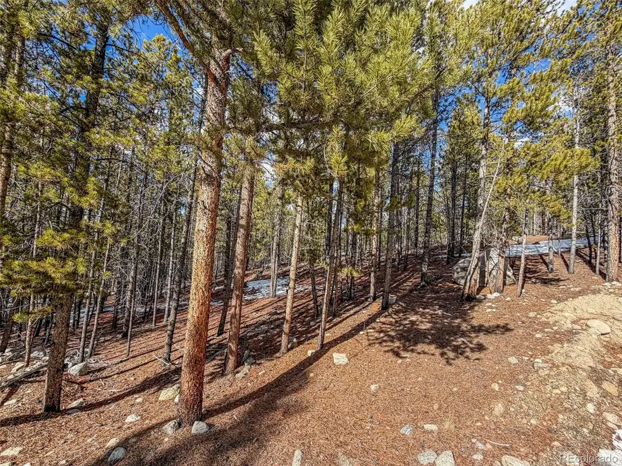483 Mt Massive Road, Twin Lakes, CO 81251 - #3