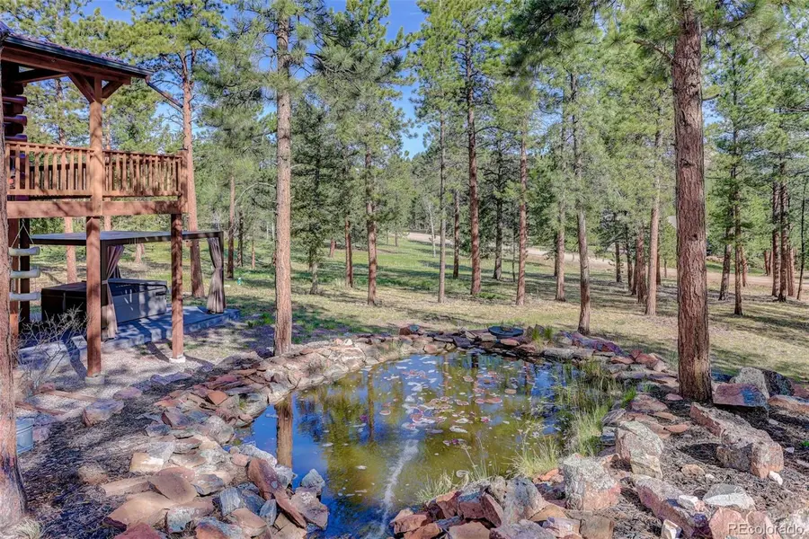 66 Territory Drive, Pine, CO 80470 - #3
