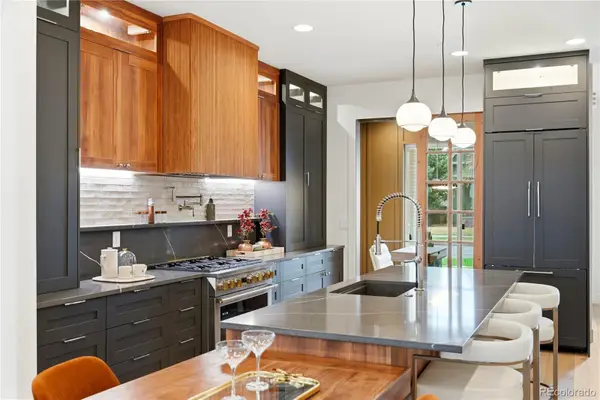 243 S Emerson Street, Denver, CO 80209