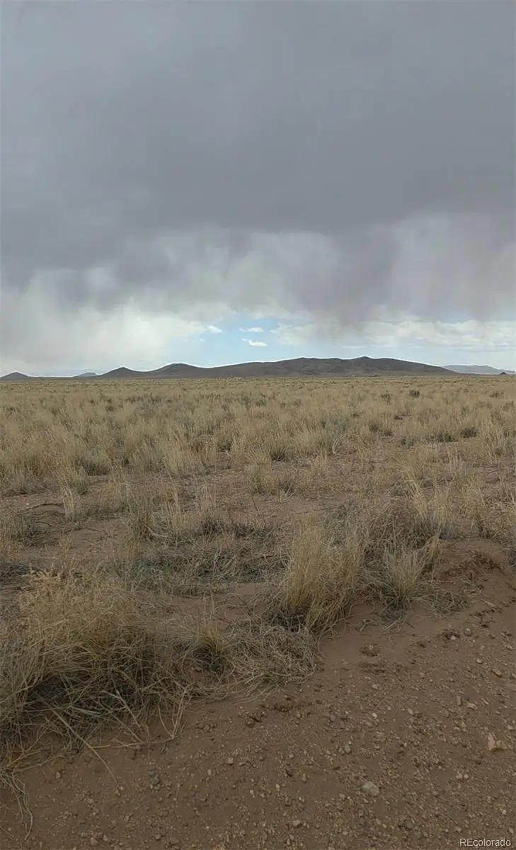 Lot 1 Brown Rd., Blanca, CO 81123 - #1