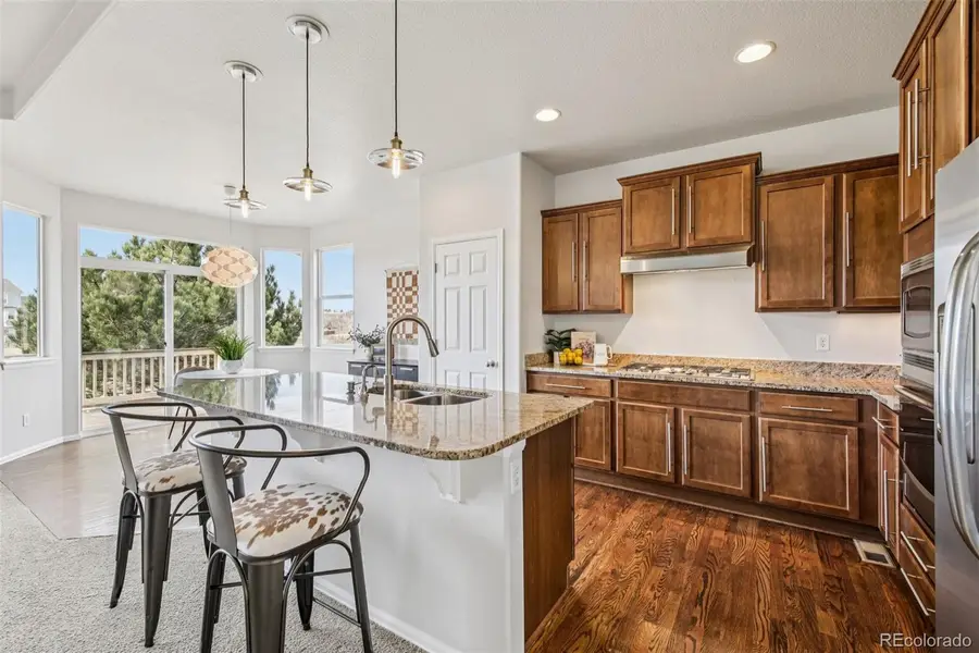 3878 Desert Ridge Circle, Castle Rock, CO 80108 - #3