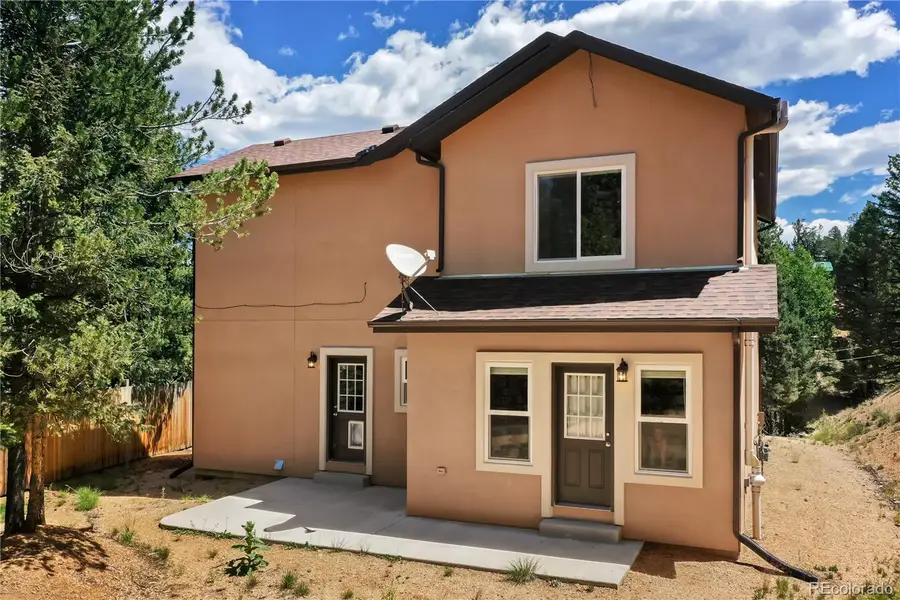 71 Mt Elbert Drive, Florissant, CO 80816 - #3