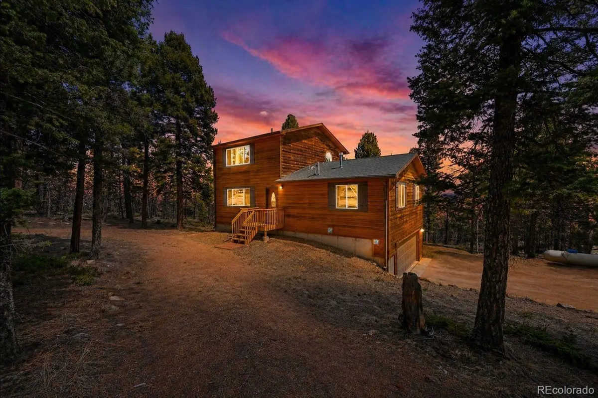 82 Apache Creek, Florissant, CO 80816 - #1