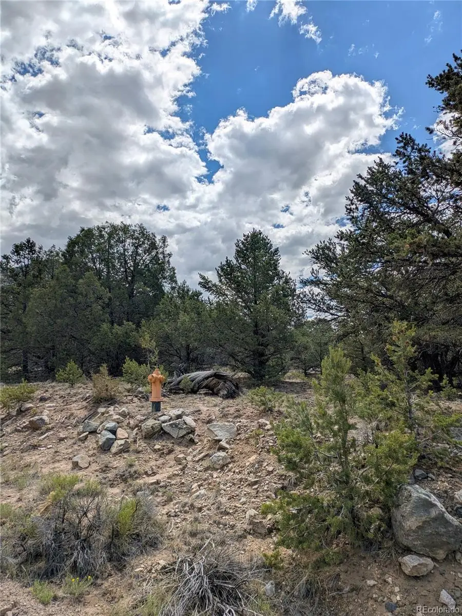 1842 Lone Pine Way, Crestone, CO 81131 - #2