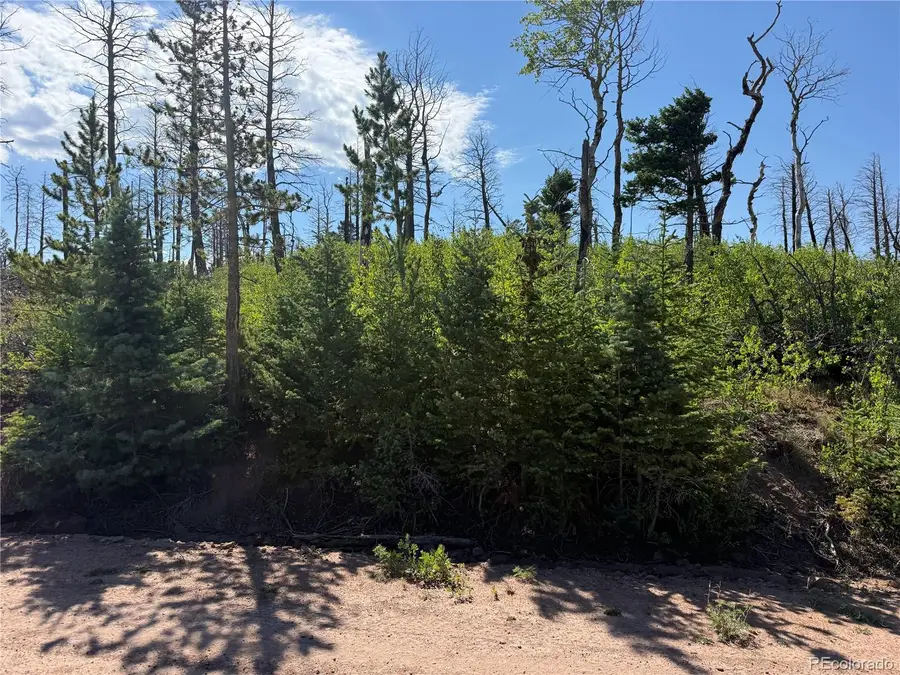 Lot 2498 Gilmartin Lane, Fort Garland, CO 81133 - #3