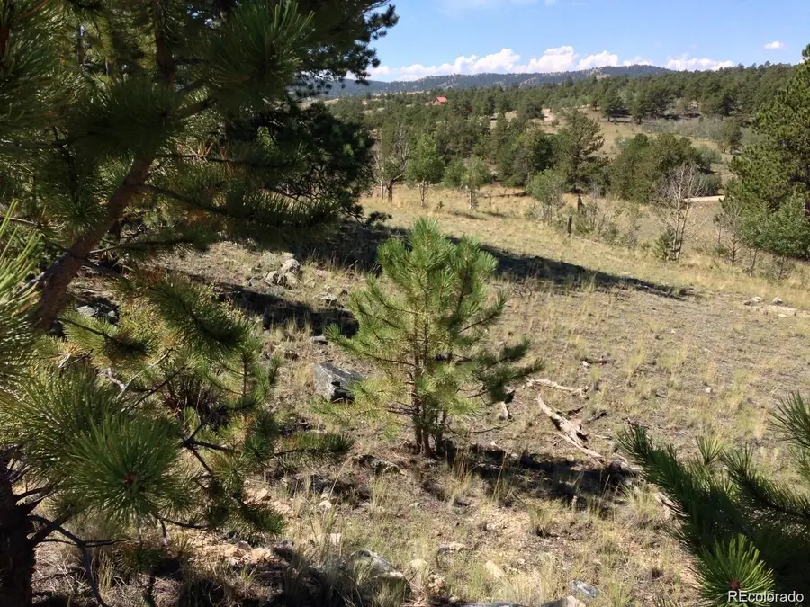 33 Jasper Way, Hartsel, CO 80449 - #2