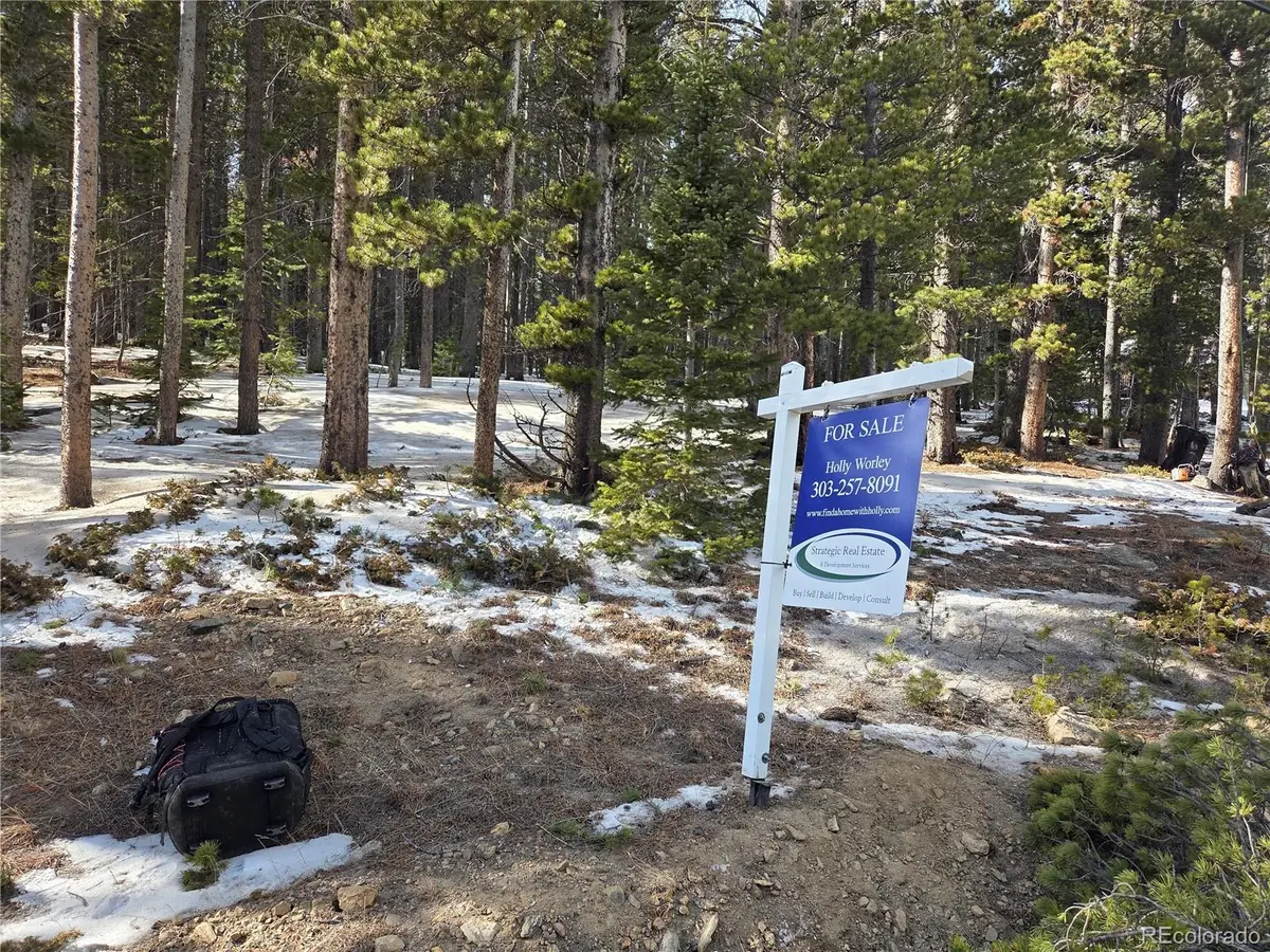 293 Beaver Road, Idaho Springs, CO 80452 - Image #1