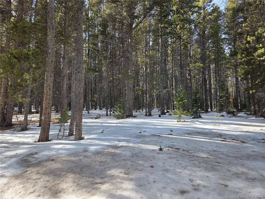 293 Beaver Road, Idaho Springs, CO 80452 - Image #2