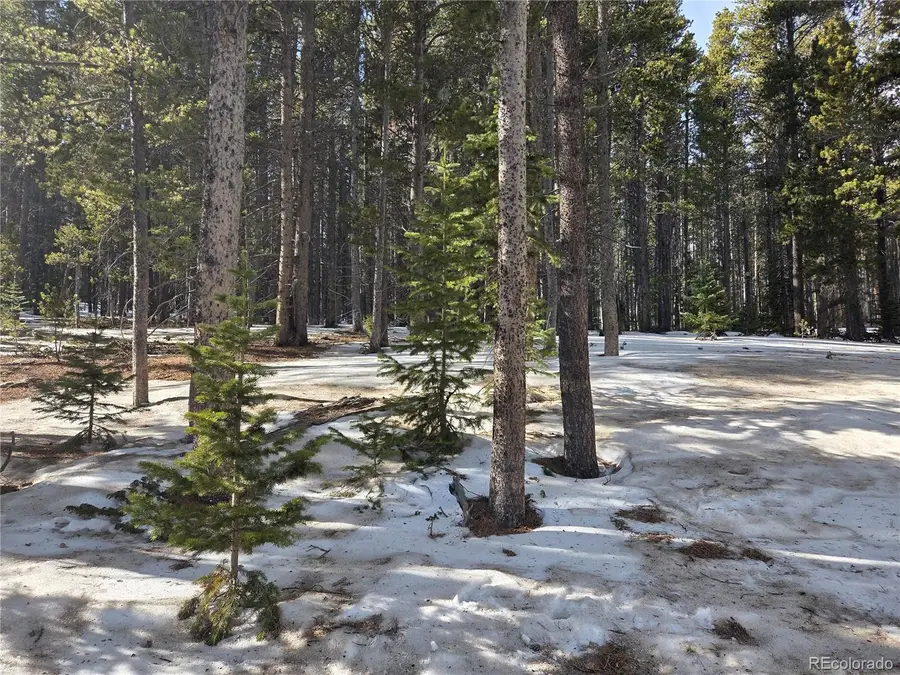 293 Beaver Road, Idaho Springs, CO 80452 - Image #3