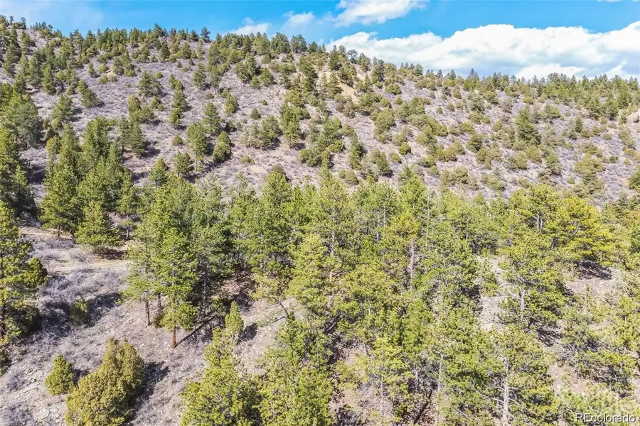 Wild Wagoner Tr, Dumont, CO 80452 - #3