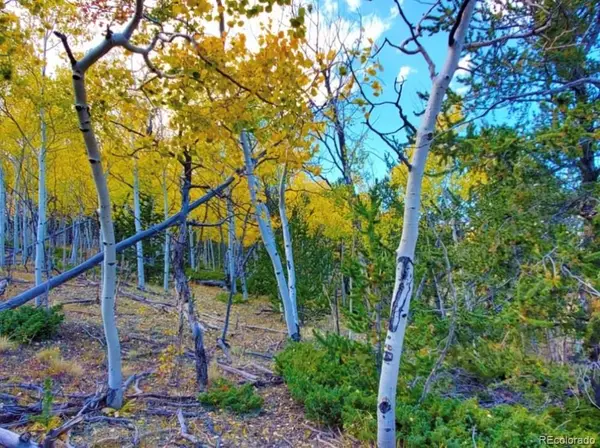 2000 Hard Hickory Trail, Guffey, CO 80820