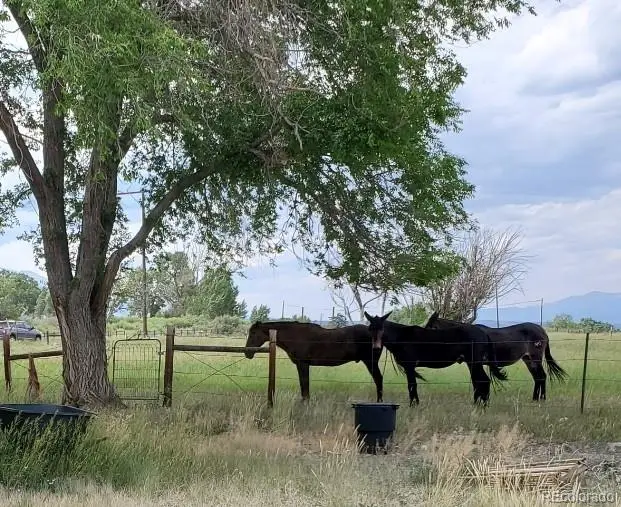 8650 Us Highway 285, Salida, CO 81201 - #3