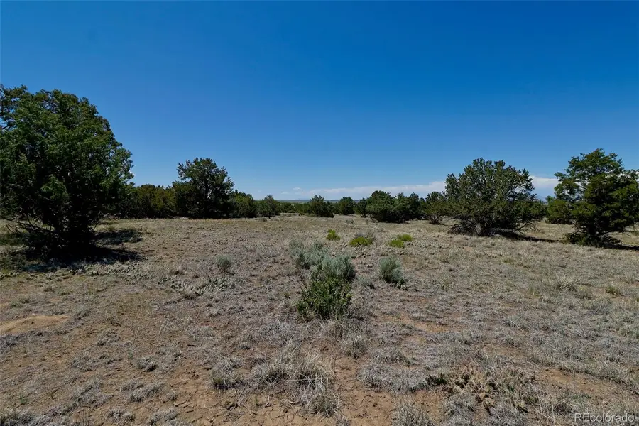 1563 Wagon Wheel Road, Crestone, CO 81131 - #3