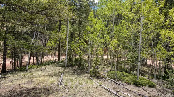 1058 Bennett Drive, Cripple Creek, CO 80813
