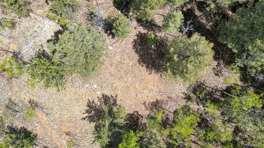 1058 Bennett Drive, Cripple Creek, CO 80813 - Image #3