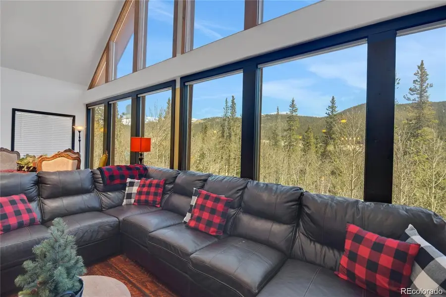 496 Quartzville Road, Alma, CO 80420 - #2