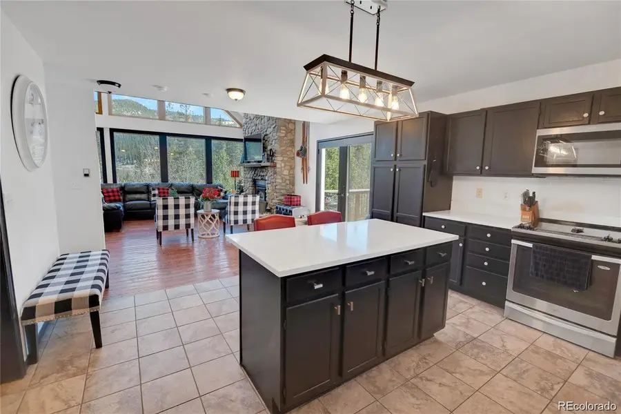 496 Quartzville Road, Alma, CO 80420 - #3