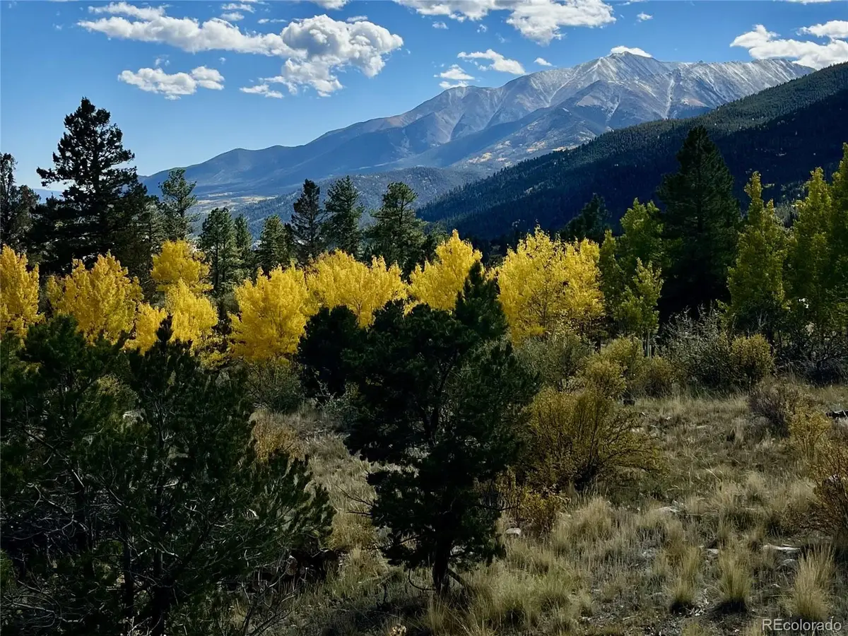 30192 Mountaintop Drive, Buena Vista, CO 81211 - #1