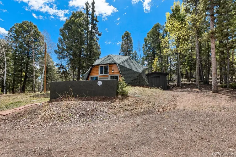 776 Jolly Rogue Drive, Divide, CO 80814 - #3