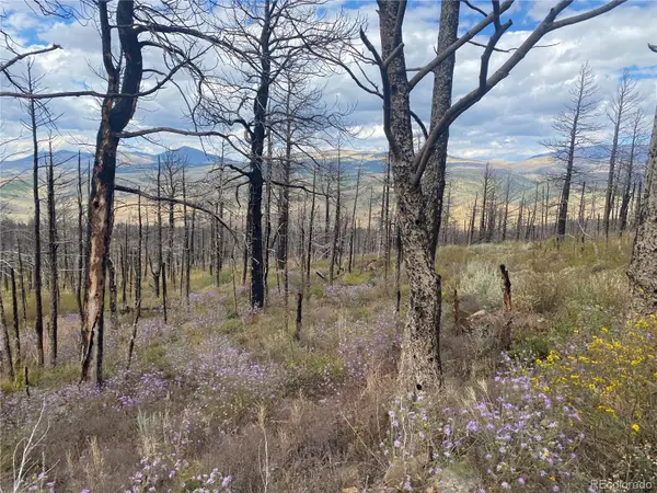 338 Hagin Lane, Fort Garland, CO 81133